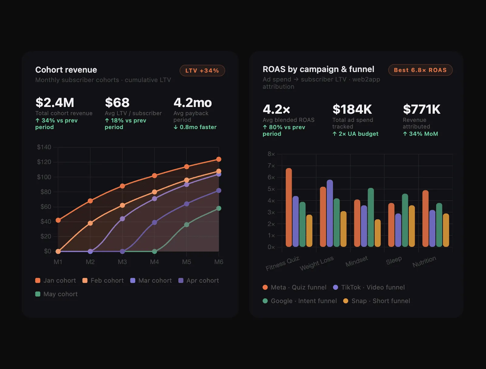 Cohort revenue and ROAS dashboards